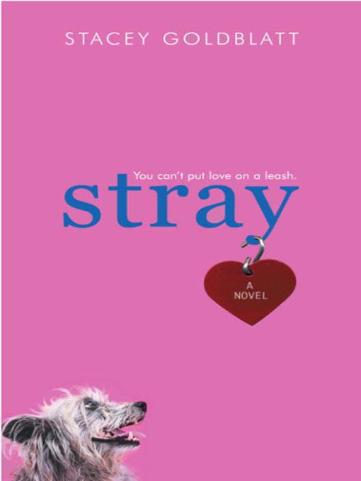 Title details for Stray by Stacey Goldblatt - Available